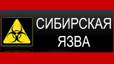 Владельцам животных в Орловской области напоминают о опасности сибирской язвы и необходимых мерах по ее предотвращению