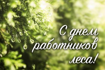 ПОЗДРАВЛЕНИЕ ПРАВИТЕЛЬСТВА ОРЛОВСКОЙ  ОБЛАСТИ   Уважаемые работники лесного комплекса! Поздравляем вас с профессиональным праздником!